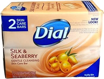 Dial Silk & Seaberry Bar Soap – 3.2 oz (2 Bars Total)
